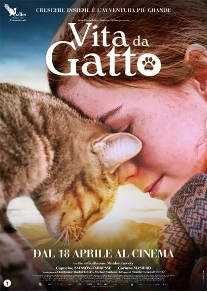 vita-da-gatto